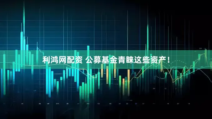 利鸿网配资 公募基金青睐这些资产！