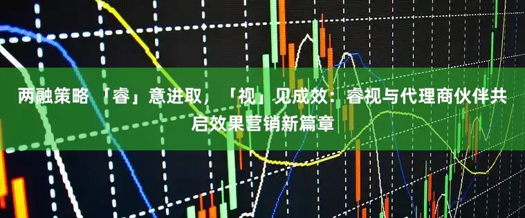 两融策略 「睿」意进取，「视」见成效：睿视与代理商伙伴共启效果营销新篇章